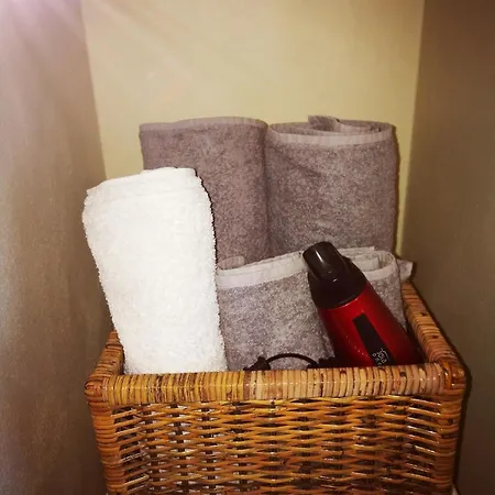 Ghislanzoni Musicista Apartamento