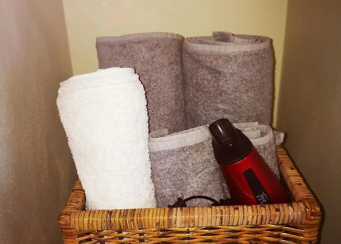 Ghislanzoni Musicista Daire